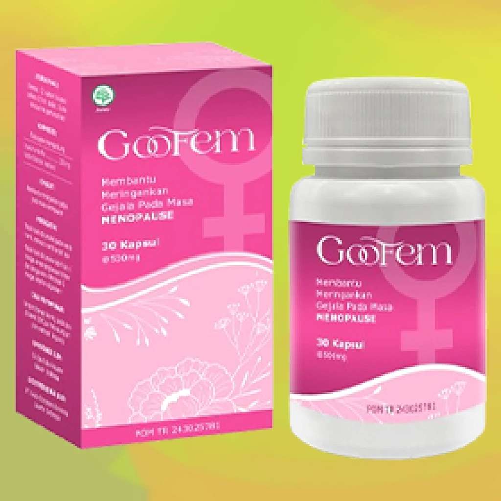 GOOFEM