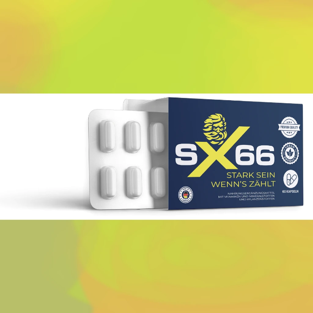 SX 66