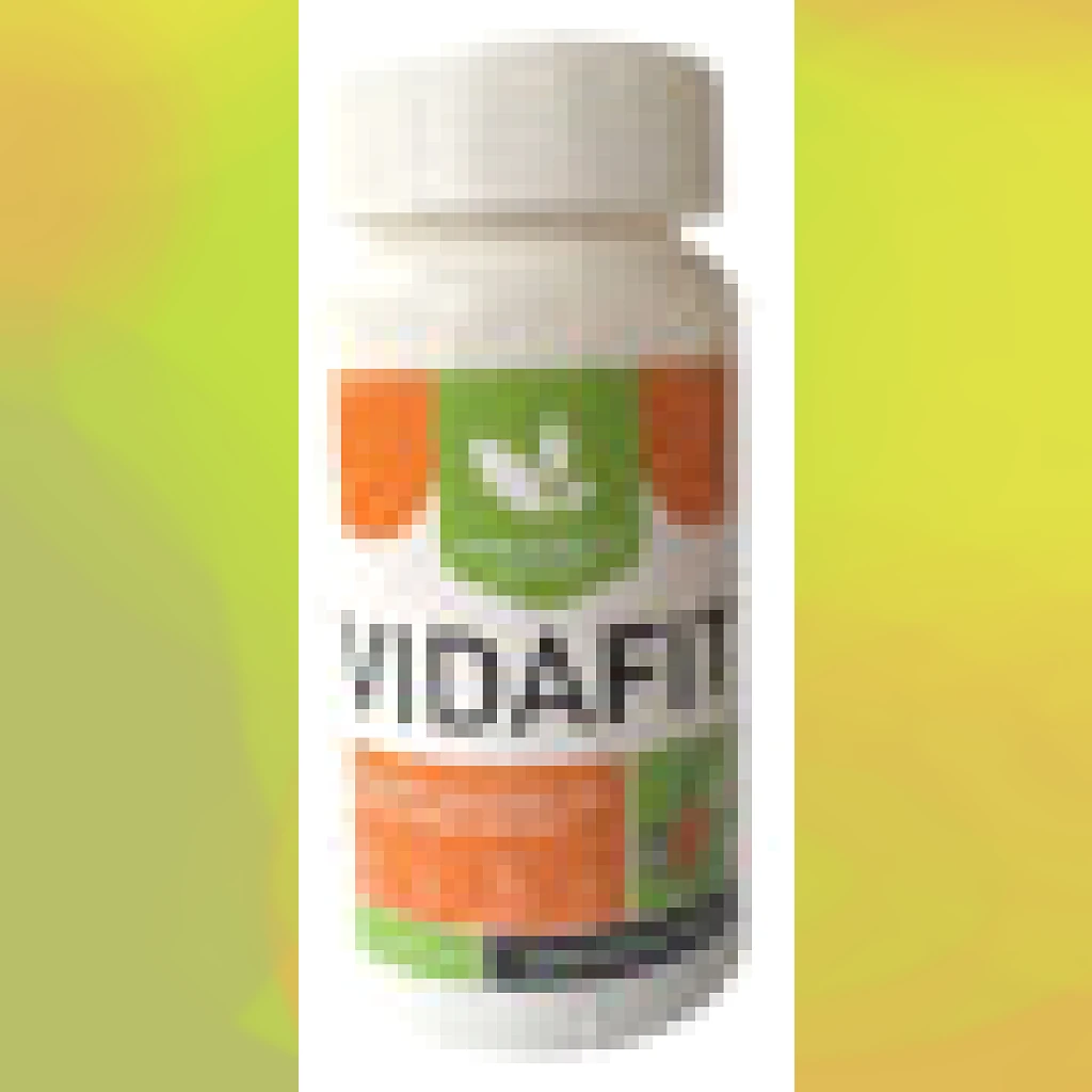VidaFit